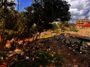 Damage to riverside gardens and facilities