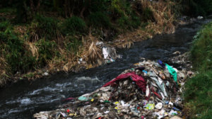 River with waste removal