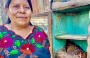 Community Empowerment for Guatemalans & Kenyans