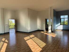 amazing natural lighting