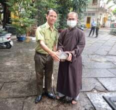 Pagoda surveys resulting in turtle transfer