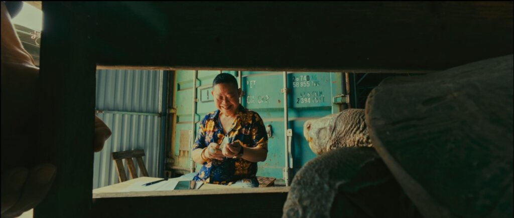 Scene from "Buying turtles finances crime" PSA
