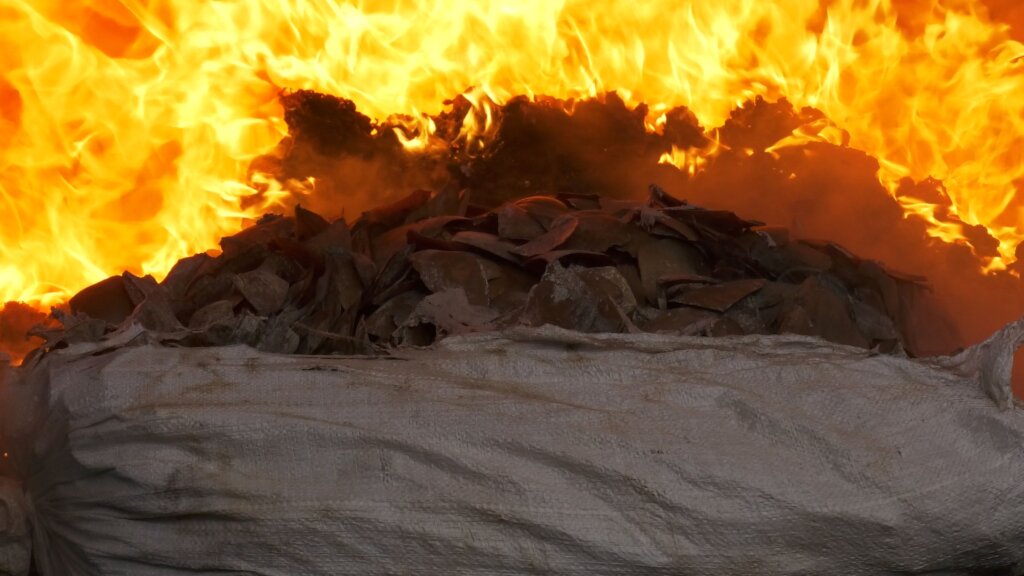 Incineration of seized illegal wildlife products