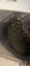 Pangolin voluntarily transferred, February 2022