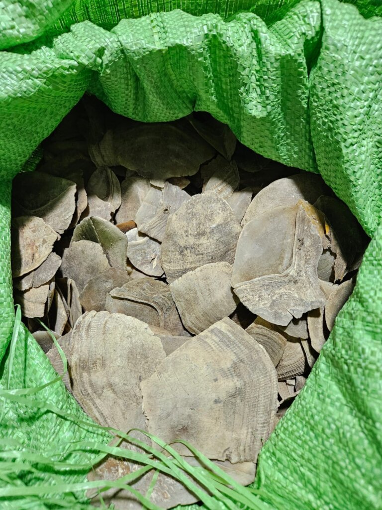 240kg of pangolin scales confiscated in Quang Ninh
