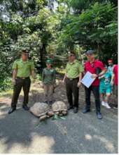 Two sulcata tortoises confiscated