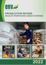 Prosecution Review 2022