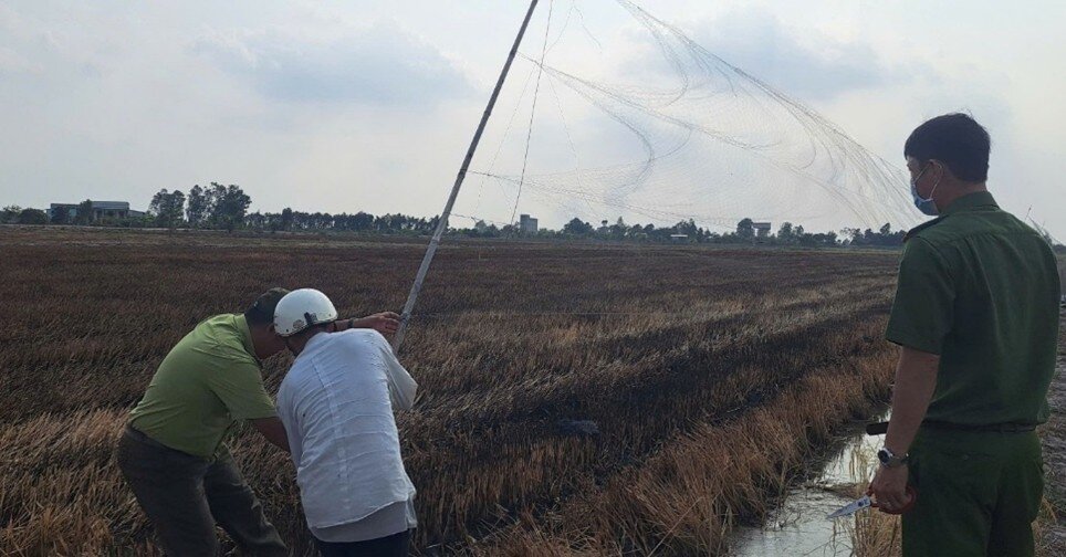 Tay Ninh authorities confiscating bird nets