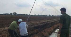 Tay Ninh authorities confiscating bird nets
