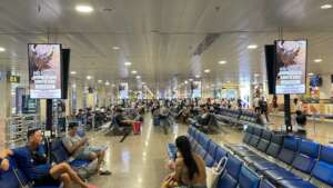 ENV's rhino campaign at Hanoi Airport