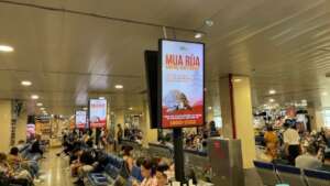 Turtle protection messages displayed at airport