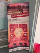 Anti-ivory stand at governmental building