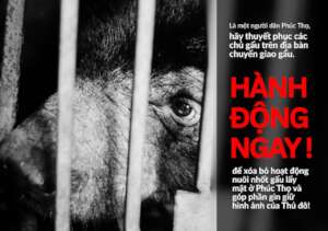 Postcard distributed in Phuc Tho district, Hanoi