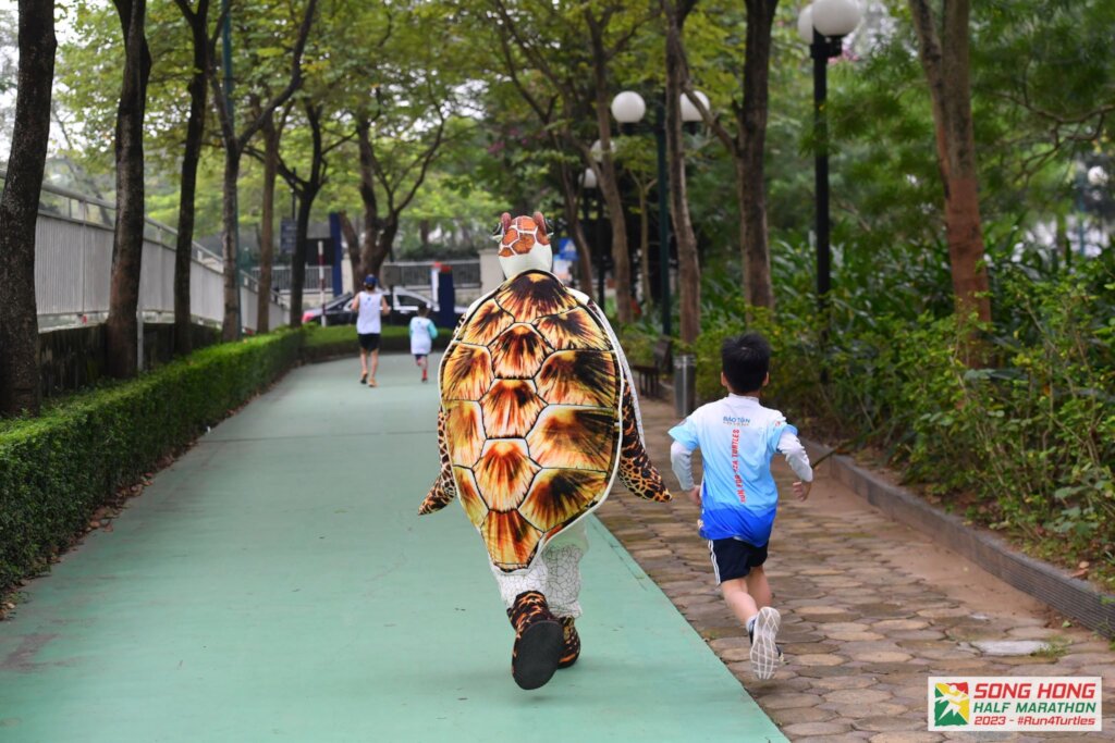 Run for Turtles 2023