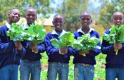 Healthy Learners: Home Grown School Meals in Kenya