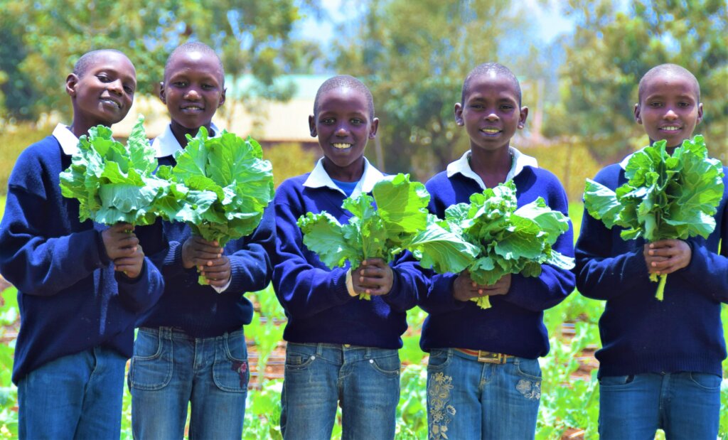 Healthy Learners: Home Grown School Meals in Kenya