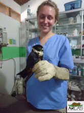 Vet students taking part in Veterinary Course