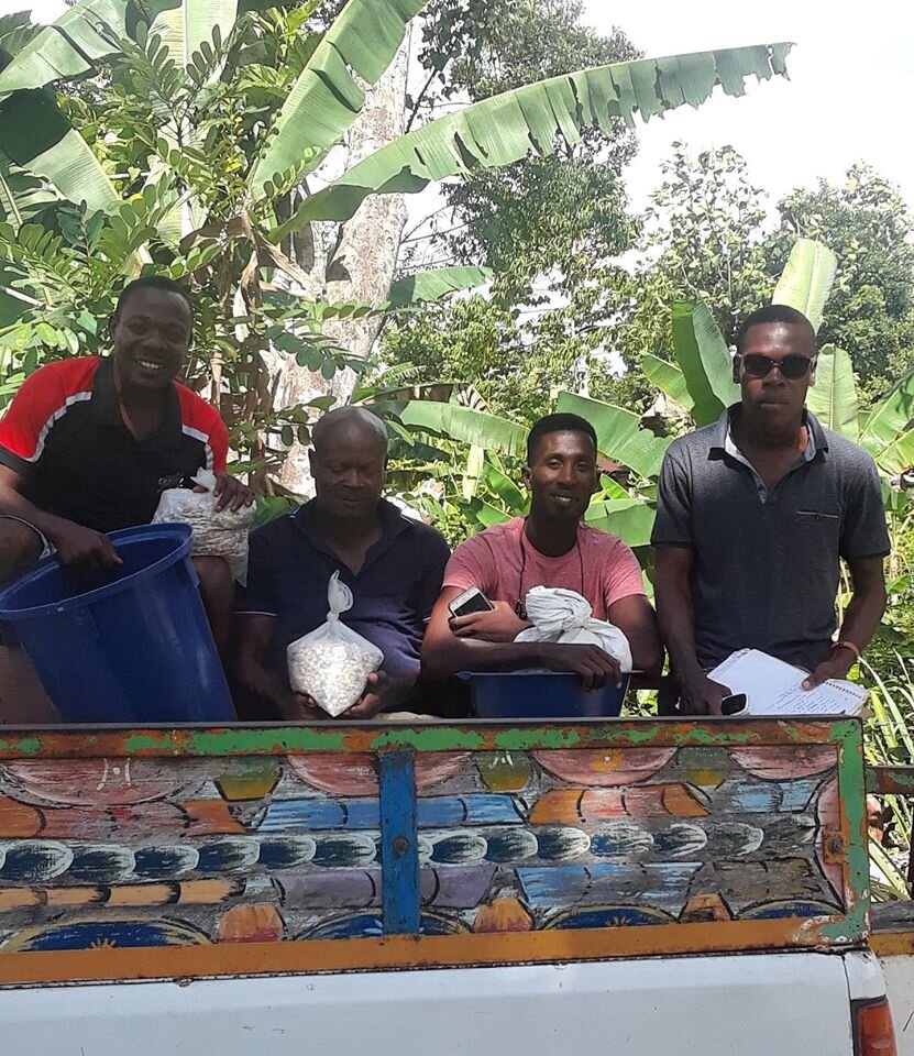 Employ Chelo, Venel, and Junnot in 2022