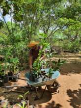 Volunteer in action!