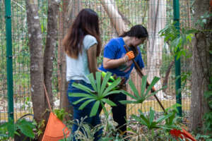 Volunteers helping out!