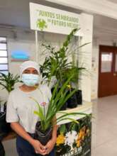 Donating trees at environmental fair!