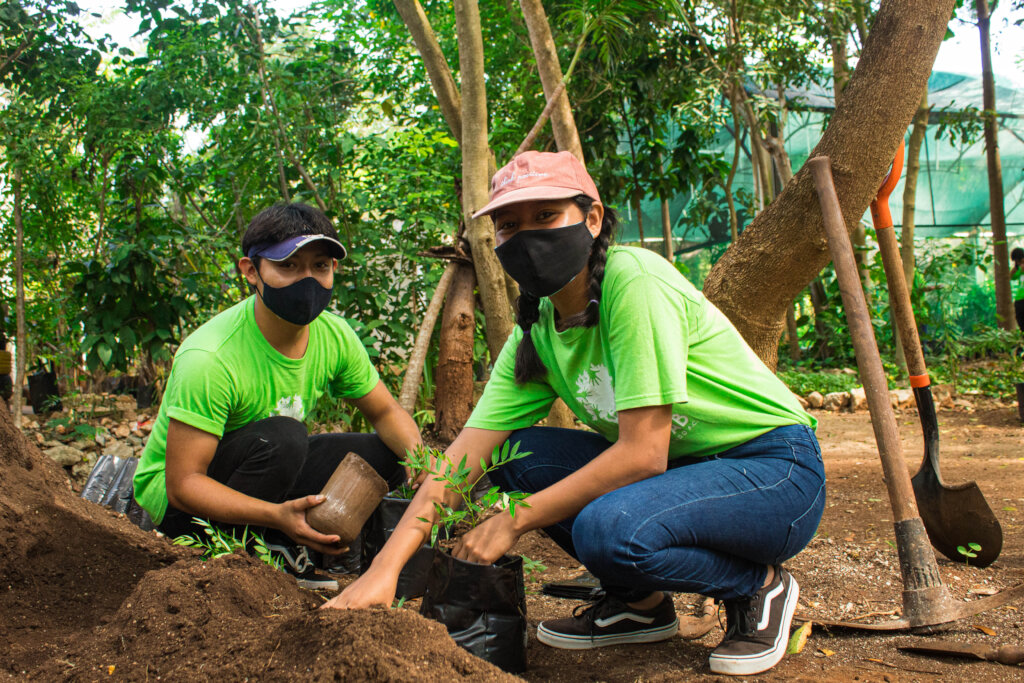 Support Kanan Kab to plant 25,000 trees in Yucatan