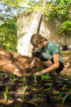 Volunteer in action!