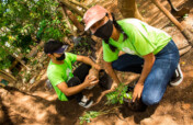 Support Kanan Kab to plant 25,000 trees in Yucatan