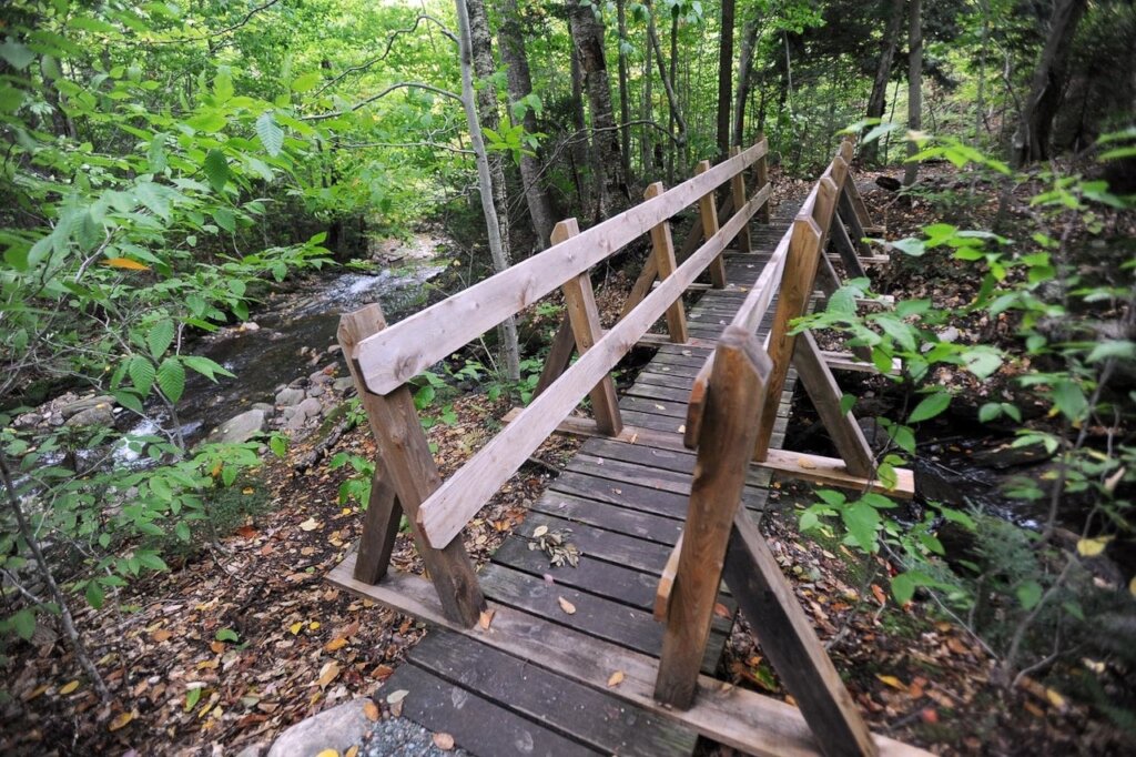 Deer Run Nature Preserve Bridge Project
