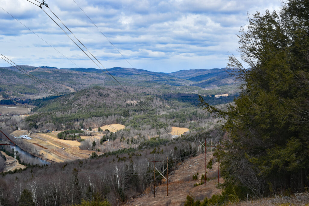 Deer Run Nature Preserve Bridge Project