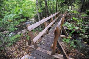 Bridge Prototype