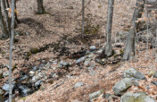 Deer Run Nature Preserve Bridge Project