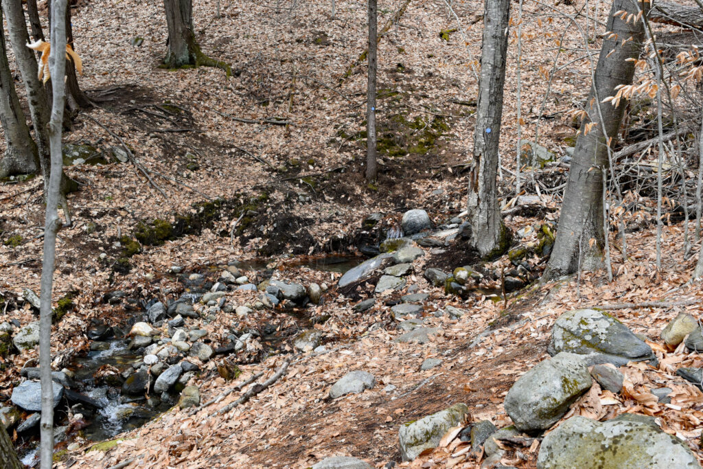 Deer Run Nature Preserve Bridge Project