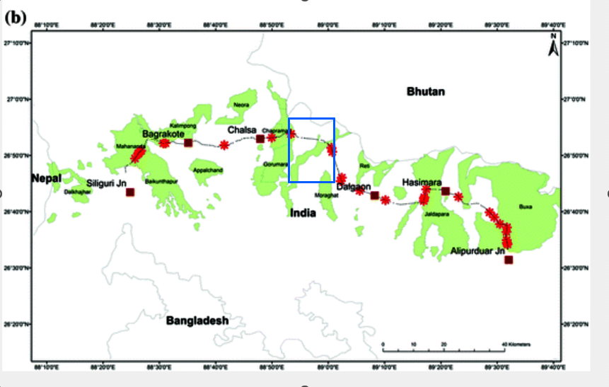 Saving W.Bengal Elephants from Deadly Train Tracks