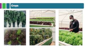 Bountiful all-natural crops from the INMED ASE