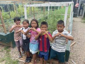 INMED Aquaponics feeding school children in Peru