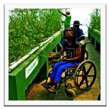 Mary has transitioned from poverty to prosperity