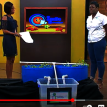 INMED Caribbean PM Sherica on Smile Jamaica TV