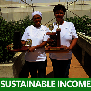 Food Security & Income for People in Poverty
