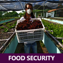 Food Security