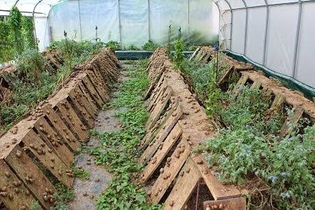 Train S/East Youth in Snail & Fish Farming Projec!