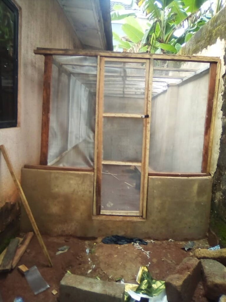 Train S/East Youth in Snail & Fish Farming Projec!