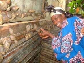 TRAIN 3K WIDOWS IN SNAIL FARMING, S/EAST, NIGERIA