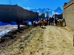 Supplies on village road