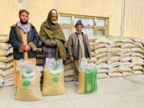 services in the field