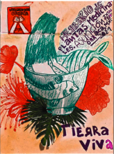 Community herbarium "Living ground"