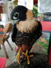 Julieta Falcon rescue