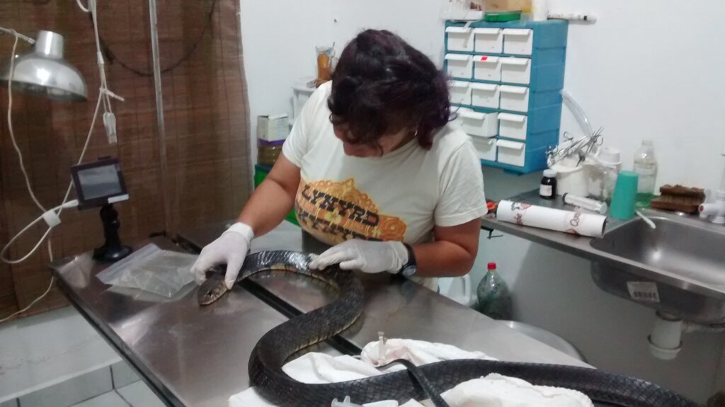 Wildlife Rescue and Rehabilitation