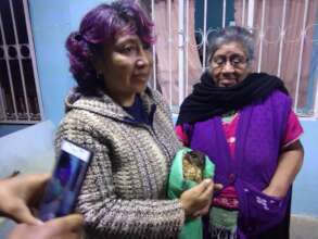 Rescate de un gavilan en una comunidad