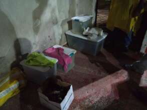 Transfer to Tivu rescue center